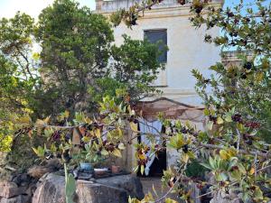 Piccolo Borgo di Pescatori img14