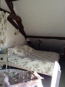 B&B / Chambres d'hotes Chateau d'Ingrandes : photos des chambres