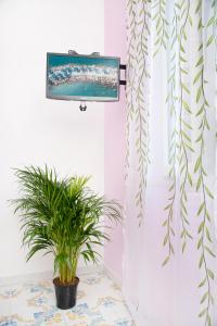 Luigis room - De Vivo Realty Meta di Sorrento