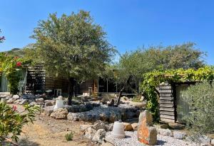 Maisons d'hotes Gite Les logis du Pech : photos des chambres