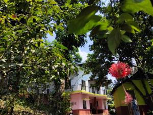Green Land Estate Homestay 5 Rooms With Garden View