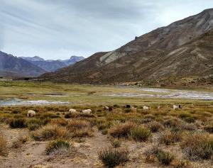 Los Molles - Helsinki Cabaña Nórdica de montaña