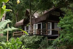 Rain Forest Paradise - Alto da Boa Vista