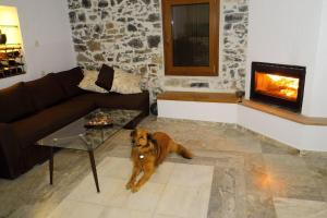 Natural House with Sea View & Garden