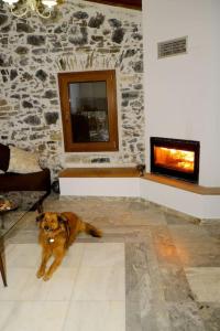 Natural House with Sea View & Garden