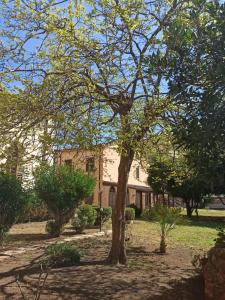 Casa Valdese Rio Marina