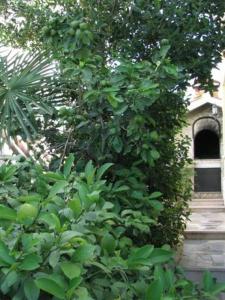 Apartment in Kanica with sea view, terrace, air conditioning, WiFi 5168-4