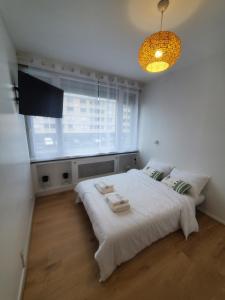 Appartements Apartment 2 or 3 bedrooms near Paris : photos des chambres