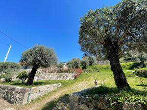 Casa Botica - Gerês Country House