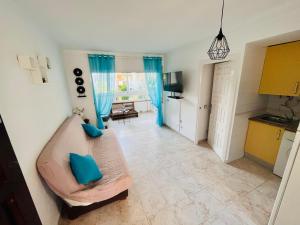 Roses, Family vacation, swimming pool & barbecue