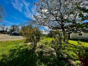 B&B / Chambres d'hotes Farm de Rodeo Gites et chambre d' hotes : photos des chambres