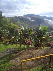 Toucan Mountain Rest