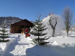 Apartments with a parking space Mrkopalj, Gorski kotar - 20714