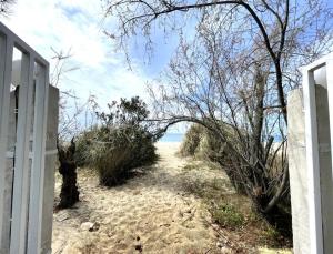 Spacious Maisonette on the eu Blue Beach of Kalogria in Sithonia in Greece