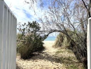 Spacious Maisonette on the eu Blue Beach of Kalogria in Sithonia in Greece