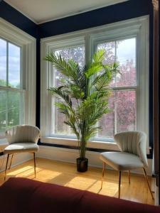 The Maple Shade Suite