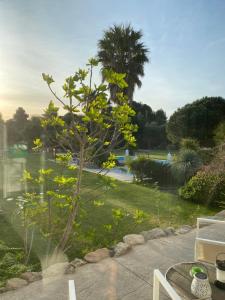 B&B / Chambres d'hotes Escapades Lointaines : photos des chambres