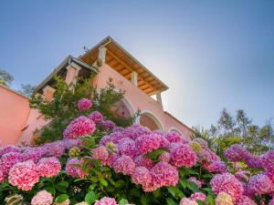 Evergreen Apartments Corfu Greece