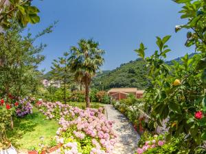 Evergreen Apartments Corfu Greece