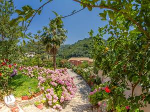 Evergreen Apartments Corfu Greece