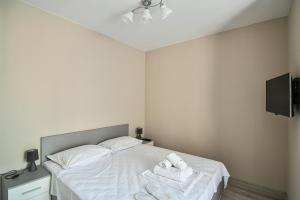 Cozy flats nearby center free park area