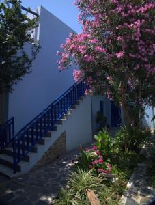 Hotel Sofia Samos Greece