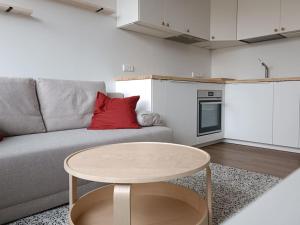 Stylish Studio in Central Vilnius II