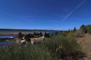 OLIVE GARDEN & SEA Apartments