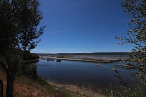 OLIVE GARDEN & SEA Apartments