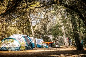 Campings Camping Olva *** : photos des chambres