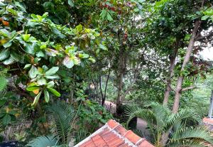 New Roy Guest House