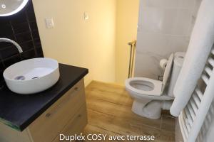 Duplex cosy avec terrasse