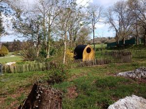 Maisons d'hotes Le Rocher du Samoyede : photos des chambres