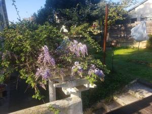 Studio Buena Vista avec terrasse sur jardin