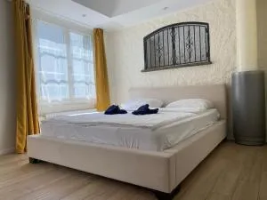 Blick auf Schwarzen Turm - Freihofapartments - Gebenstorf