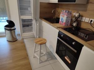 Appartements Bright new apartment near Paris + parking : photos des chambres