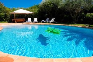 Villas Saint Tropez Bay Charming villa with sea view : photos des chambres