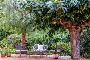 Villas Saint Tropez Bay Charming villa with sea view : photos des chambres