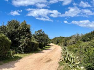 Appart'hotels Domaine de Licetto : photos des chambres