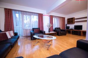 Cozy Apartment in Suceava
