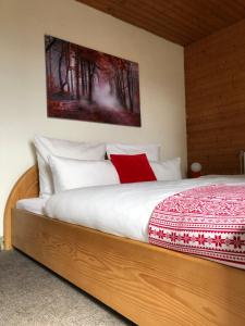 PanoramaApart - Alpzeit im Westallgäu