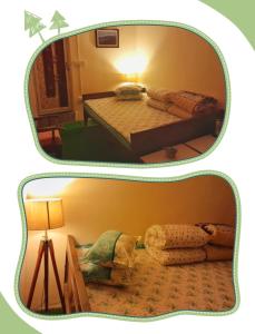 Aakeet Lyang Homestay