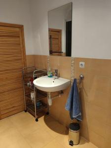 Apartament za lasem