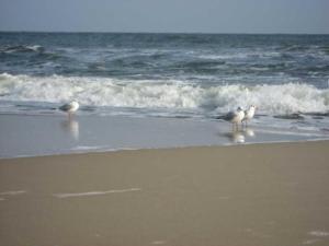 Villa Granitz - Ferienwohnung Riedel