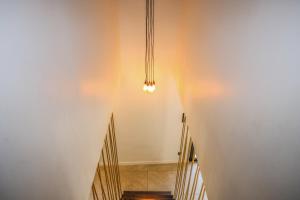 CASA JUNGLE ! Superb duplex apartment, Place des LICES !