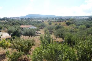 Theofilos Appartements Kythira Greece