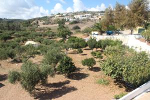 Theofilos Appartements Kythira Greece