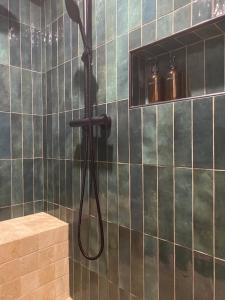 Grand T1 Allevard centre