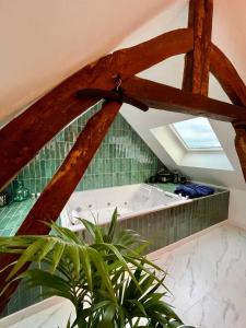 Appartements The SPA : experience sensorielle extraordinaire : photos des chambres