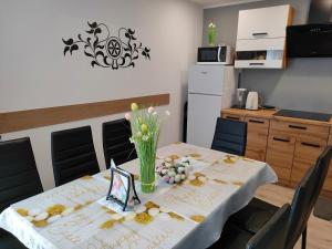 Apartament przy Wyciągu z jacuzzi